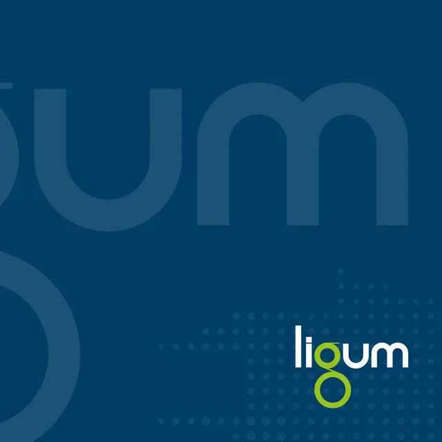 Skládaná brožura společnosti Ligum