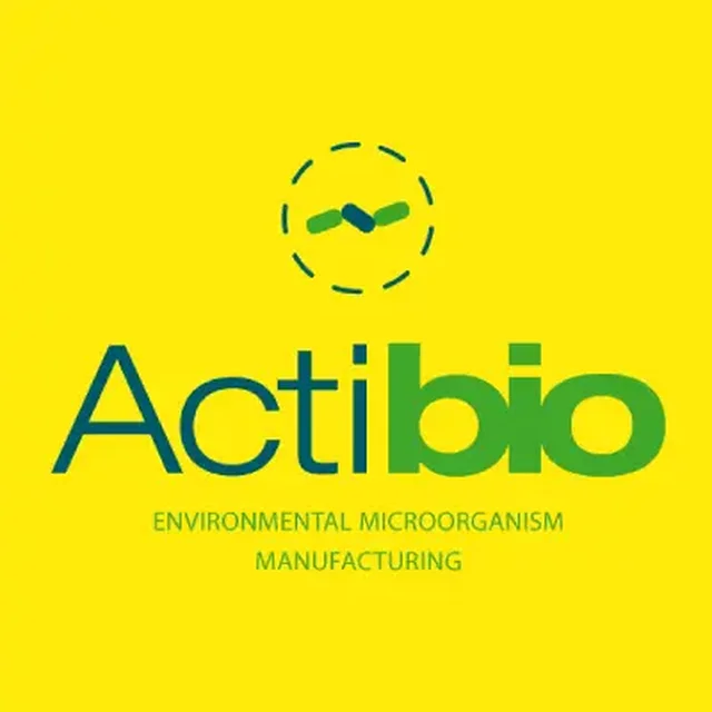 Tvorba nového profesionálního loga