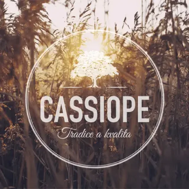 Grafický návrh produktového loga